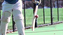 Brad Haddin helps cricket bat researchers