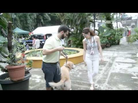 NET12 - Resto ramah hewan, perbolehkan hewan kesayangan ikut bersantap bersama anda