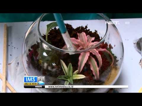 IMS - Terrarium Miniatur Taman Dalam Wadah Bening
