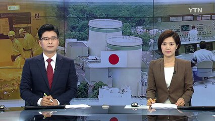 日 '꿈의 원자로' 몬주, 폐로 수순 돌입 / YTN (Yes! Top News)