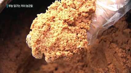 땅에서 억대 부농 일구는 처녀 농군들 / YTN (Yes! Top News)