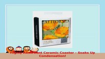 California  Poppies Set of 4 Ceramic Coasters  Corkbacked Absorbent d72682c3