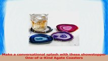 Smithsonian OneofaKind Agate Coasters ed01eb05