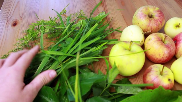 KOSTENLOSES und REGIONALES SUPERFOOD - Gesunder und grüner Apfelsaft-RXCC0rno-Wg