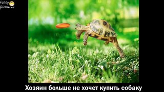 Приколы Лучшие ПРИКОЛЫ