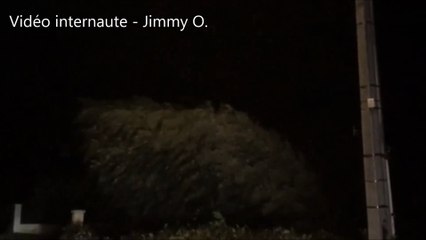 Tempête Leiv : un arbre quasiment couché par le vent dans le Blayais (33)