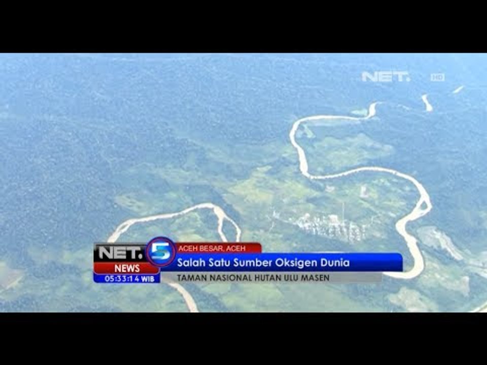 NET5 - Warisan Purba di Taman Nasional Hutan Ulu Masen Aceh