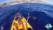 5 Horrifying Shark Encounters Caught On GoPro