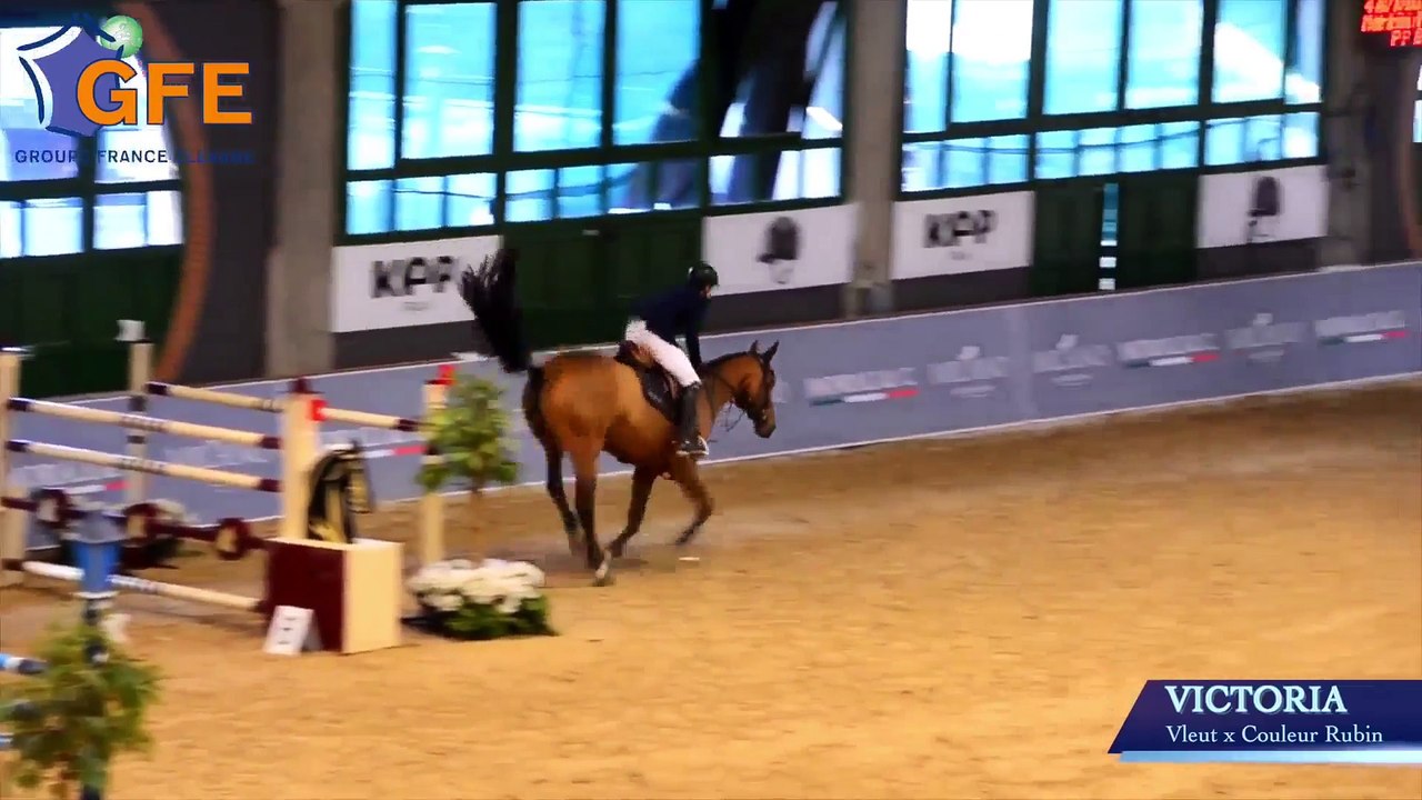 Salon des Etalons de Sports - Jumping International de Bordeaux 2017 (04/02/2017)