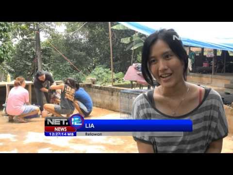 NET12 - Organisasi penyelamat hewan peliharaan yang dianiaya dan ditelantarkan