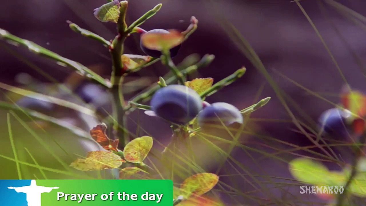 Good Morning Prayer _ O Lord, Grant Me..._ Morning Prayer Catholic _ Eternal Grace-pxyj2vk3qkA