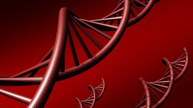 garage door repair aurora co