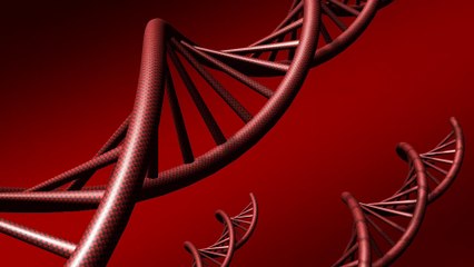 garage door repair aurora co