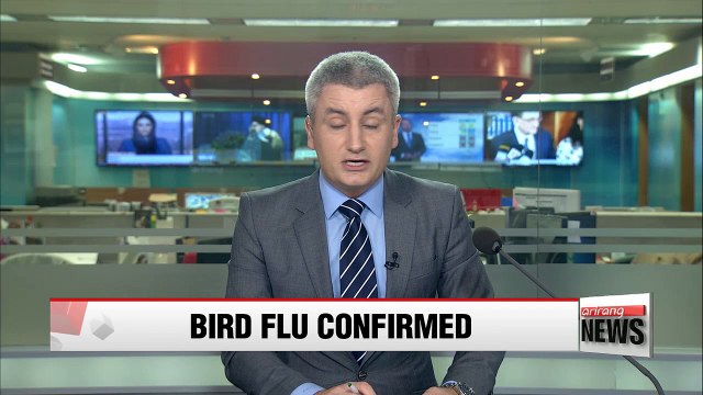 Restrictions imposed as dead bird in Seoul tests positive for H5N6 bird flu strain