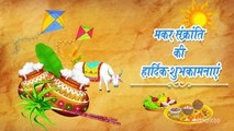 Why We Celebrate Makar Sankranti _ Makar sankranti Celebration in India-jDcZ-q65blM