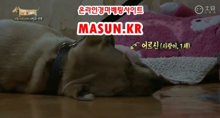 검빛닷컴 , 검빛경마 《《 MaSUN 쩜 KR 》》 경사이트