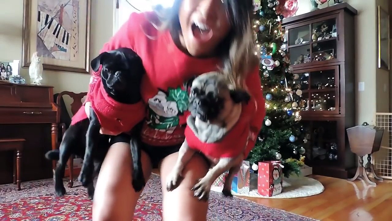 Happy New Year 2017 -  Shuffle Dance @ Rica Senpai-o2D9DjHQMbg