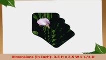 3dRose cst42732 Pink Calla Lily Soft Coasters Set of 8 8a63c88a