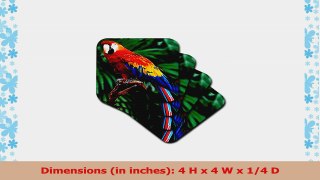 Birds  Scarlet Macaw  set of 8 Ceramic Tile Coasters cst5764 9343ad4b