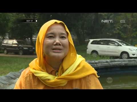 NET17 - Pendapat warga jakarta Jokowi Calon Presiden