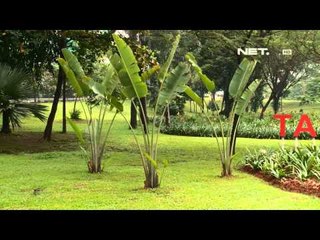 NET12 - Revitalisasi Taman Semanggi