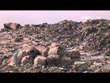 NET5 - Olah sampah Organik menjadi listrik di Lagos, Nigeria