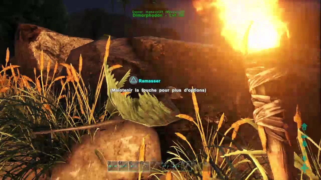 Important ark (81)