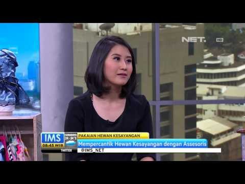 IMS - Talkshow butik untuk anjing