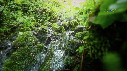 When Spring Comes-TEiHsnfzrZA-HD