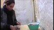 Los caracoles de Marruecos, un manjar para españoles