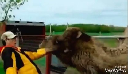 Ты че такая дерзкая.Смотреть всем