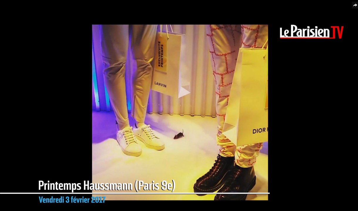 Insolite : une souris se balade dans la vitrine du Printemps Haussmann