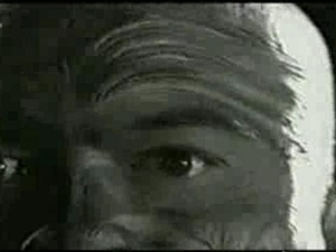 Spot - Adidas - Rugby - Haka - All Blacks