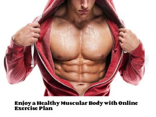 online exercise plan| online nutrition plan