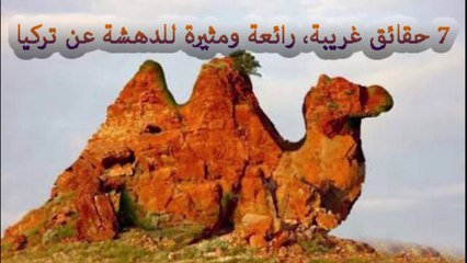 7 معلومات وحقائق غريبة ورائعة ومثيرة للدهشة عن تركيا