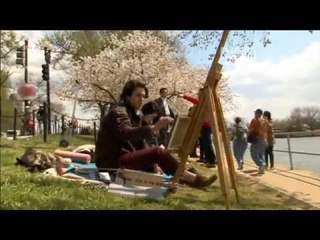 NET JATIM - Pohon sakura mekar di sepanjang jalan di Washington