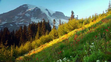 New mashi geet  yasu waja marda by Qaisar Paul