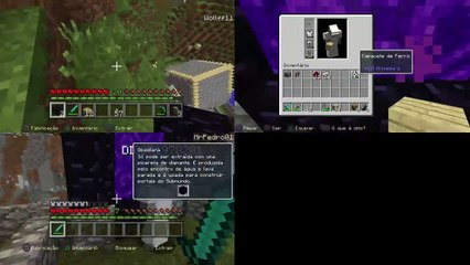 Minecraft : Irmãos exploradores (19)