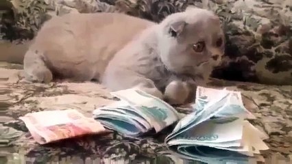 Поставишь класс и у тебя такое будет!)