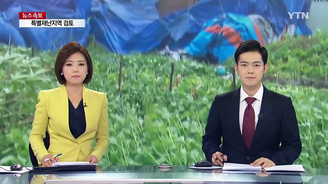 지진에 이어 태풍까지... 엎친데 덮친 경주 / YTN (Yes! Top News)