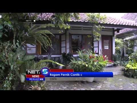 NET5 - Cinta Bumi Pelepah Pisang Dini