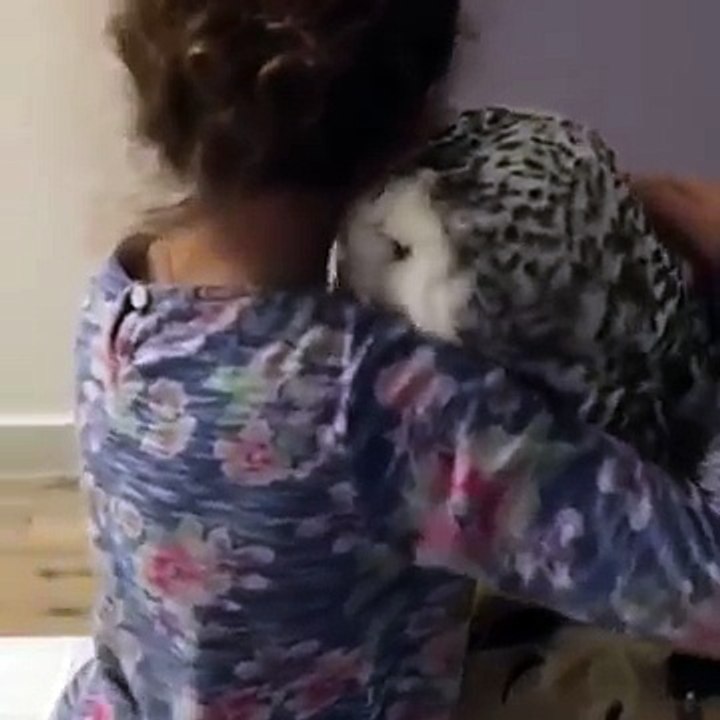Девочка общается с совой. Это нереально