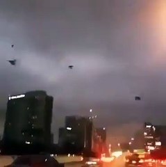 Qielli pushtohet nga zogjtë në qytetin e Teksasit