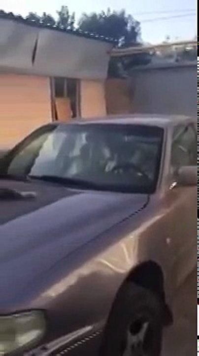 ПРИКОЛ КОТ СПИТ НА КАПОТЕ МАШИНЫ И НИЧЕГО НЕ ЗАМЕЧАЕТ СМОТРЕТЬ ВСЕМ ЯНВАРЬ 2016