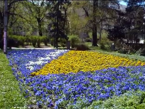 Bosna i Hercegovina - zemljo moja