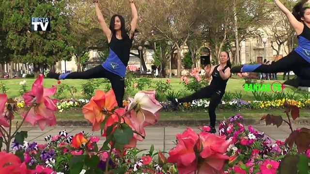 FIESTA TV (DANZAS TV 29 INSTITUTO ROMANELLA)