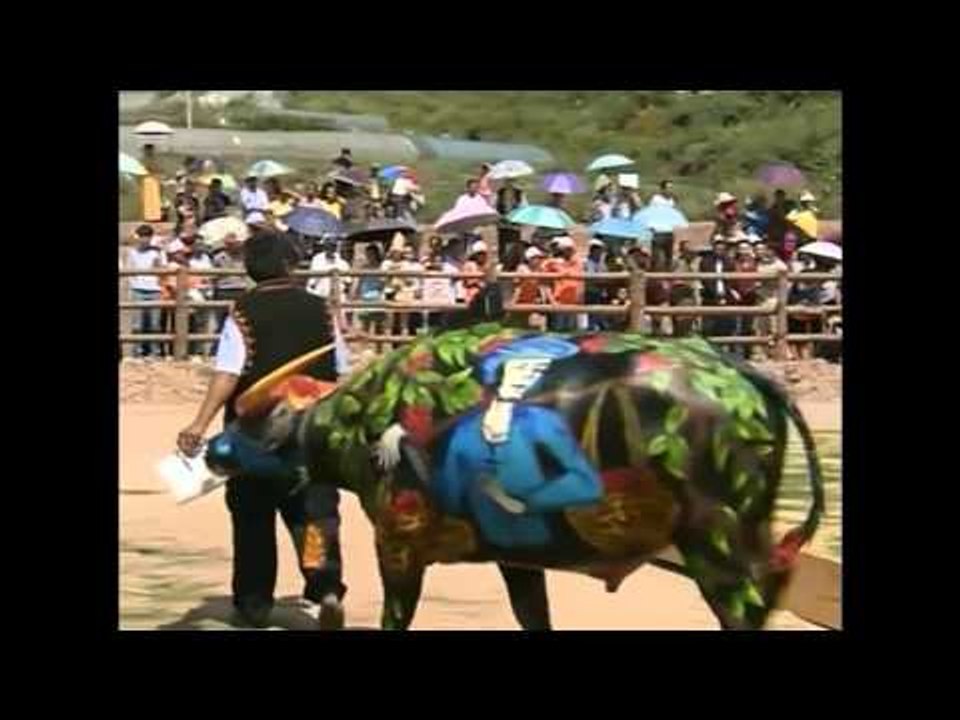 IMS Sapi Jadi Media Lukis oleh Pelukis Cina Ini