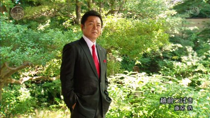 藤原浩 越前つばき（ＰＶ） 蔵出し演歌ＰＶ