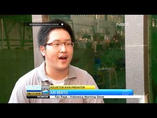 IMS Memelihara Ikan Predator Menambah Gengsi Tersendiri