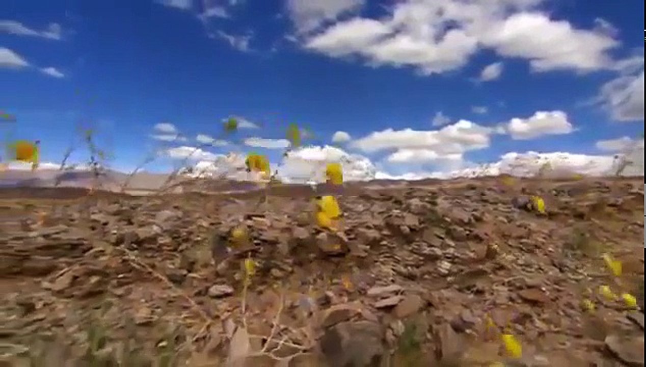Best Documentary Death Valley California National Geographic Nature - FAISAL